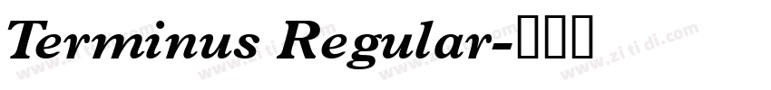 Terminus Regular字体转换